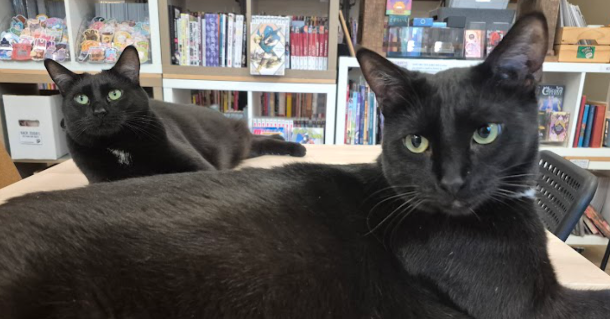 Two of Them! (They’re Two!)